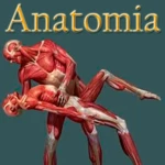 Logo of Anatomia humana gratis en Español android Application 